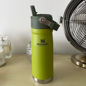 Stanley Tumbler Avocado